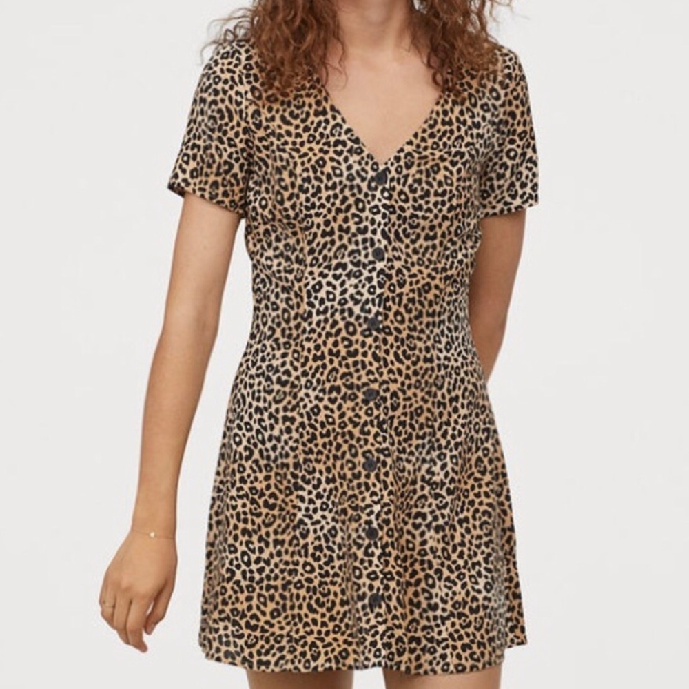 H&M Leopard A Line dress size small